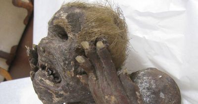 Screaming 'mermaid mummy' worshipped for centuries believed to be half monkey, half fish