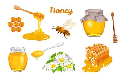 ‘Surprise finding’: Two spoons of honey improves metabolic health