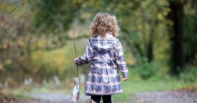 All the locations in Wales where you can get a free tree on Black Friday