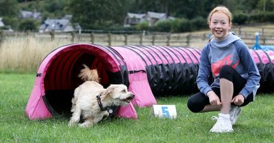 Scots schoolgirl to compete at Crufts with granny's rescue dog