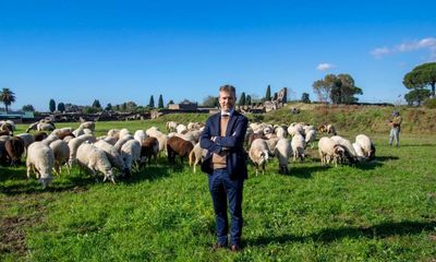 Pompeii deploys flock of hungry sheep to keep grass short