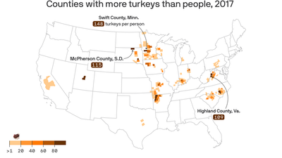 These counties have more turkeys than people