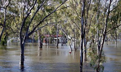 Flood could cut off NSW town of Moulamein ‘through December’, authorities say