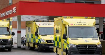 People are dying because of long waits at A&E, health chiefs warn