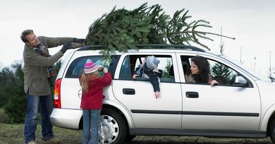 Warning over putting Christmas tree in car as drivers risk £2,500 fine and points