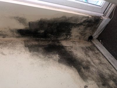 Distraught mother says son ‘struggling to breathe’ in mould-ridden council flat