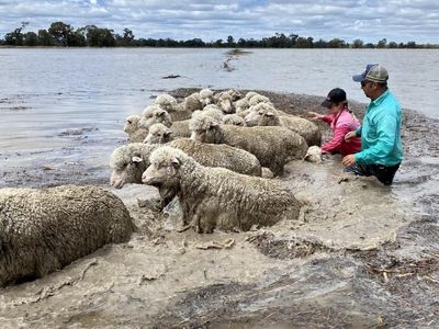 Flooded farmers blame basin mismanagement