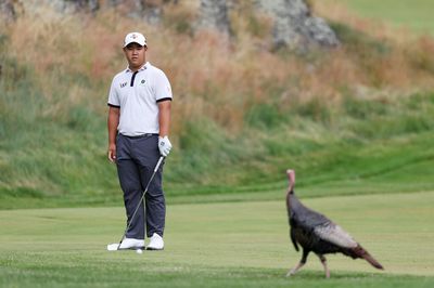 A Thanksgiving treat: Comparing professional golfers to popular turkey day dishes