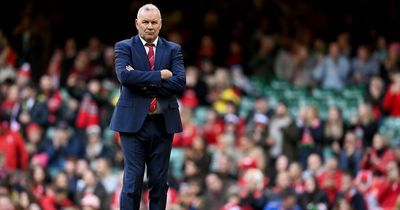 Wayne Pivac Q&A: I can't get side-tracked by talk of job pressure but we know there's a lot at stake