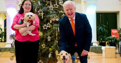 Belfast Christmas dog fashion show set to raise charity cash