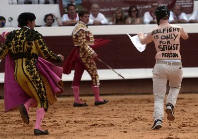 Bid to ban bullfighting abandoned in France