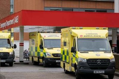 Patients dying as one in four ambulances queue outside London hospitals, health chiefs warn