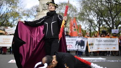 French bid to ban bullfighting dropped amid 'obstruction' in parliament