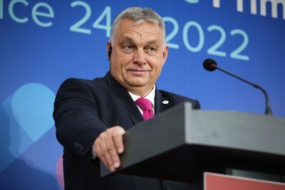 Friend or foe: Hungary delays ratifying Sweden and Finland’s bid for Nato membership