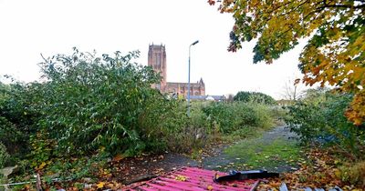 More than 20 stalled sites remain in city centre with half up for sale
