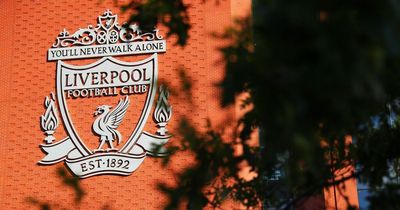 Ian Graham Liverpool departure heightens FSG need for transfer rethink