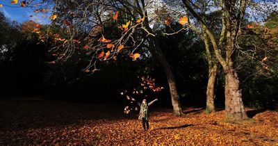 North East weather: Hour-by-hour forecast for Friday and Saturday according to the Met Office