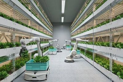 Human-free farms could solve a major food problem