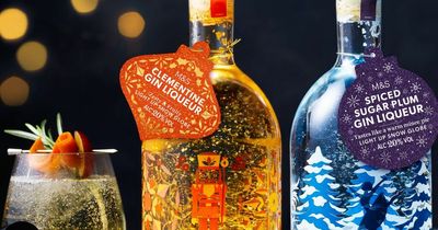 Marks and Spencer light up snow globe gin available for £10 in Black Friday deal