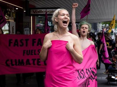 Protesters bare all at Black Friday sales