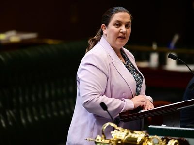Sitting NSW MP dumped by own party