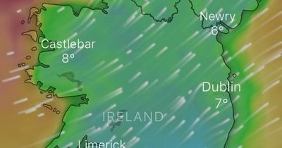 Met Eireann's grim weekend forecast for Dublin with heavy rain and blustery conditions to hit