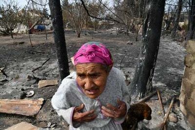 Algeria: 49 sentenced to die for lynching Good Samaritan who wanted to fight wildfires