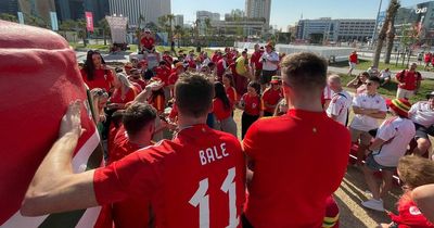 Hundreds of Wales fans gather with Dafydd Iwan and Barry Horns for World Cup mini-music festival