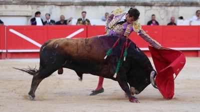 Bid to ban bullfighting abandoned as French MPs block crucial vote