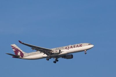 ‘Humiliated’ plus-size model claims Qatar Airways denied her boarding for being ‘too fat for economy’