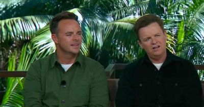 Ant and Dec share brutal I'm A Celebrity hosting schedule with 2am wake-up for live shows