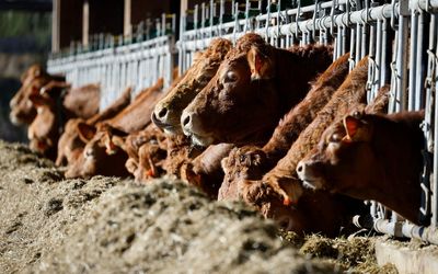 The Global Methane Pledge could be our only realistic chance to slow down climate change within a few years–but time is already running out