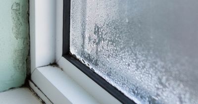 Property expert shares easy way to get rid of condensation on windows