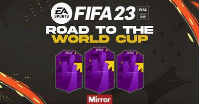 FIFA 23 Road to the World Cup leaks, confirmed release date, expected content and more