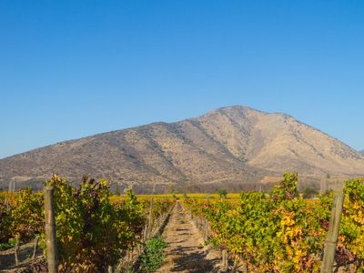 How to do a sustainable wine tour of Chile