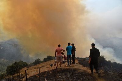 Almost 50 people sentenced to death over lynching of Algerian man wrongly accused of starting wildfires