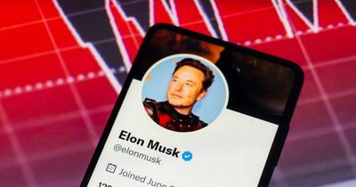 Elon Musk slammed for decision to allow ‘some of the worst people on the internet’ back on Twitter