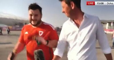 Wales fan's brutal one-word response when Sky reporter tries to talk to him after match