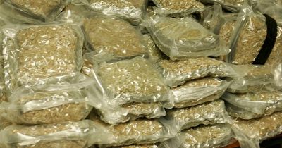 Passenger jailed after Lanarkshire cops find £100k worth of cannabis in boot of car