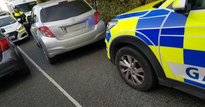 Gardai arrest 'world's dumbest criminal' driving stolen car on way home from court