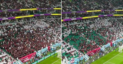 Qatar fans turn backs on World Cup as host nation face early group stage exit