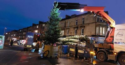 Glasgow Ibrox residents delight at Christmas tree campaign success