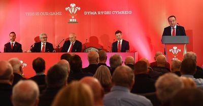 Sacking or backing Wayne Pivac means little without total WRU reform