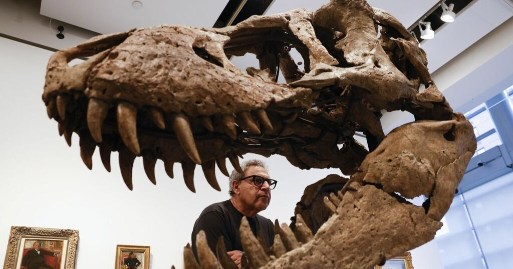 Rex Monster Monster dinosaur T-rex may have actually been 70%…