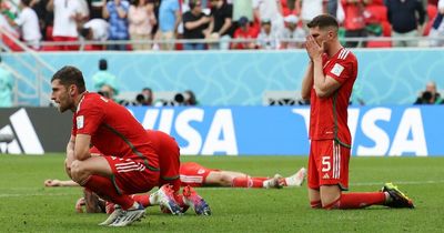 Wales' World Cup should be remembered for journey not how dreams evaporated