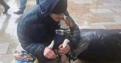 Homeless man made final bed for his beloved dog then died in the night outside Costa