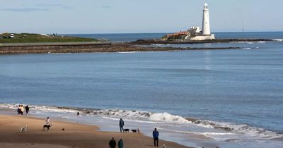 Hourly forecast as Met Office predicts weekend of light rain followed by sunny spells in North East