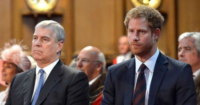 Prince Harry and Andrew were 'embarrassed' to be stripped of royal roles