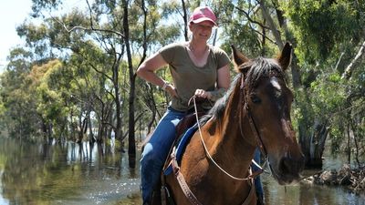 Molly the horse delivers flood updates and fun during a tough time for Echuca-Moama residents