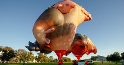 Skywhale and Skywhalepapa say 'Happy Birthday'